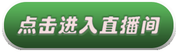 同望造价课堂一造提分冲刺班——技术计量